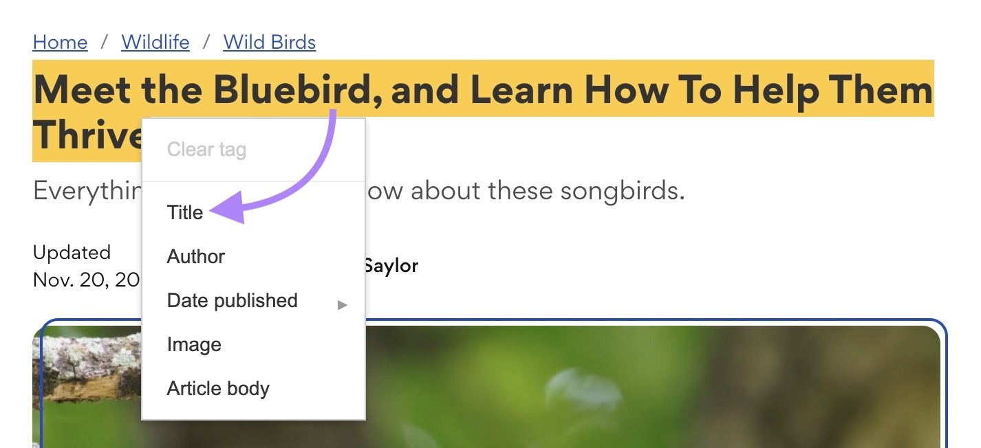 The title of a page highlighted and the “Title” data item clicked from the menu that pops up on Structured Data Markup Helper.
