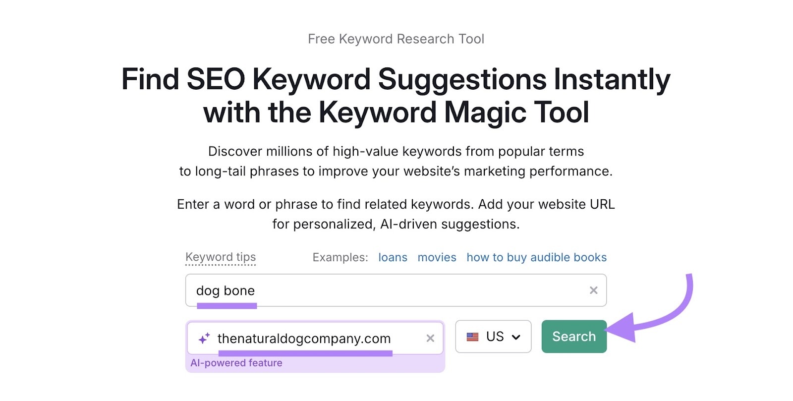 Keyword Magic Tool with "dog bone" entered as the keyword, a domain added, and "Search" clicked.