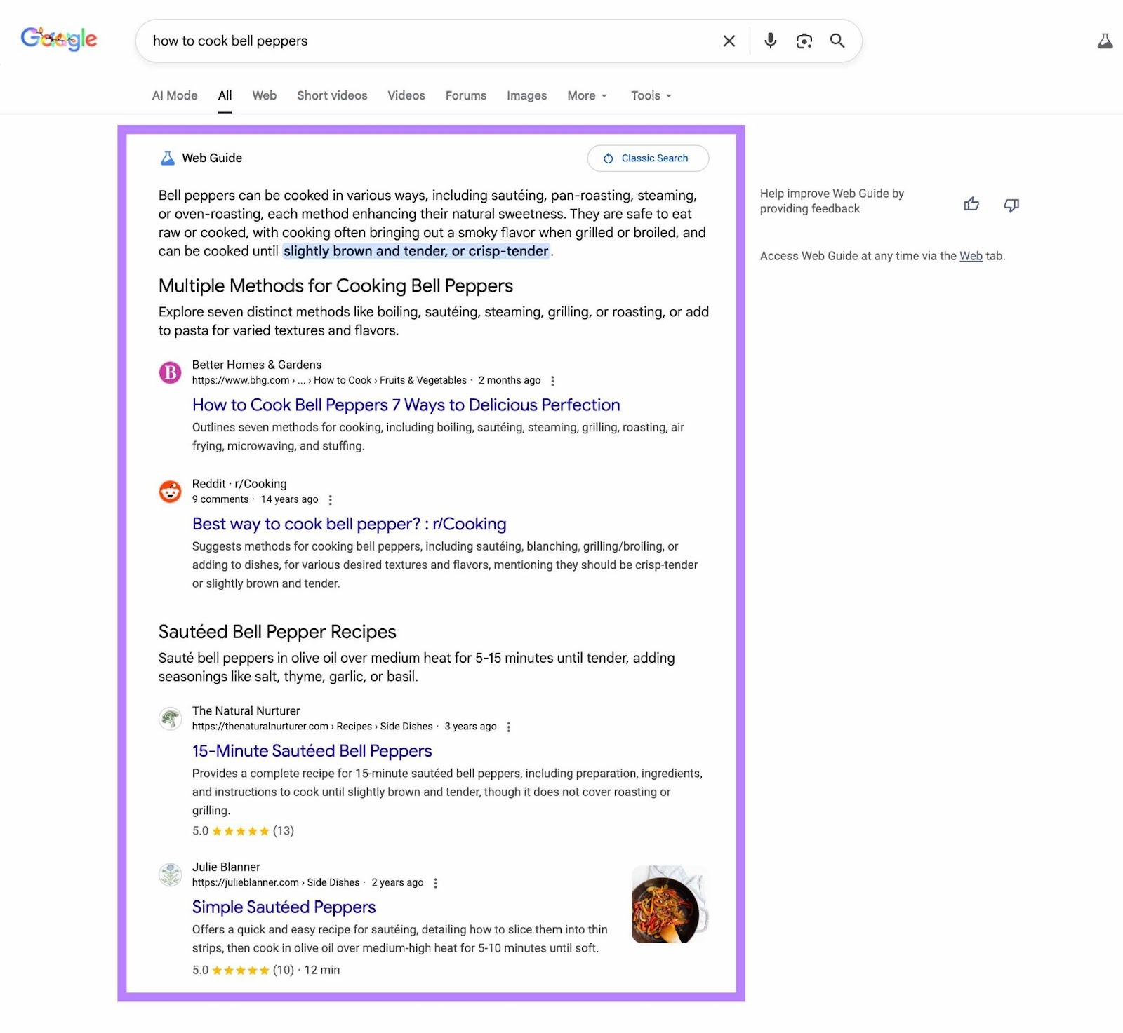 Web Guide result